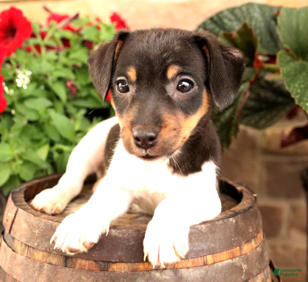 Gallery Image {{count}}