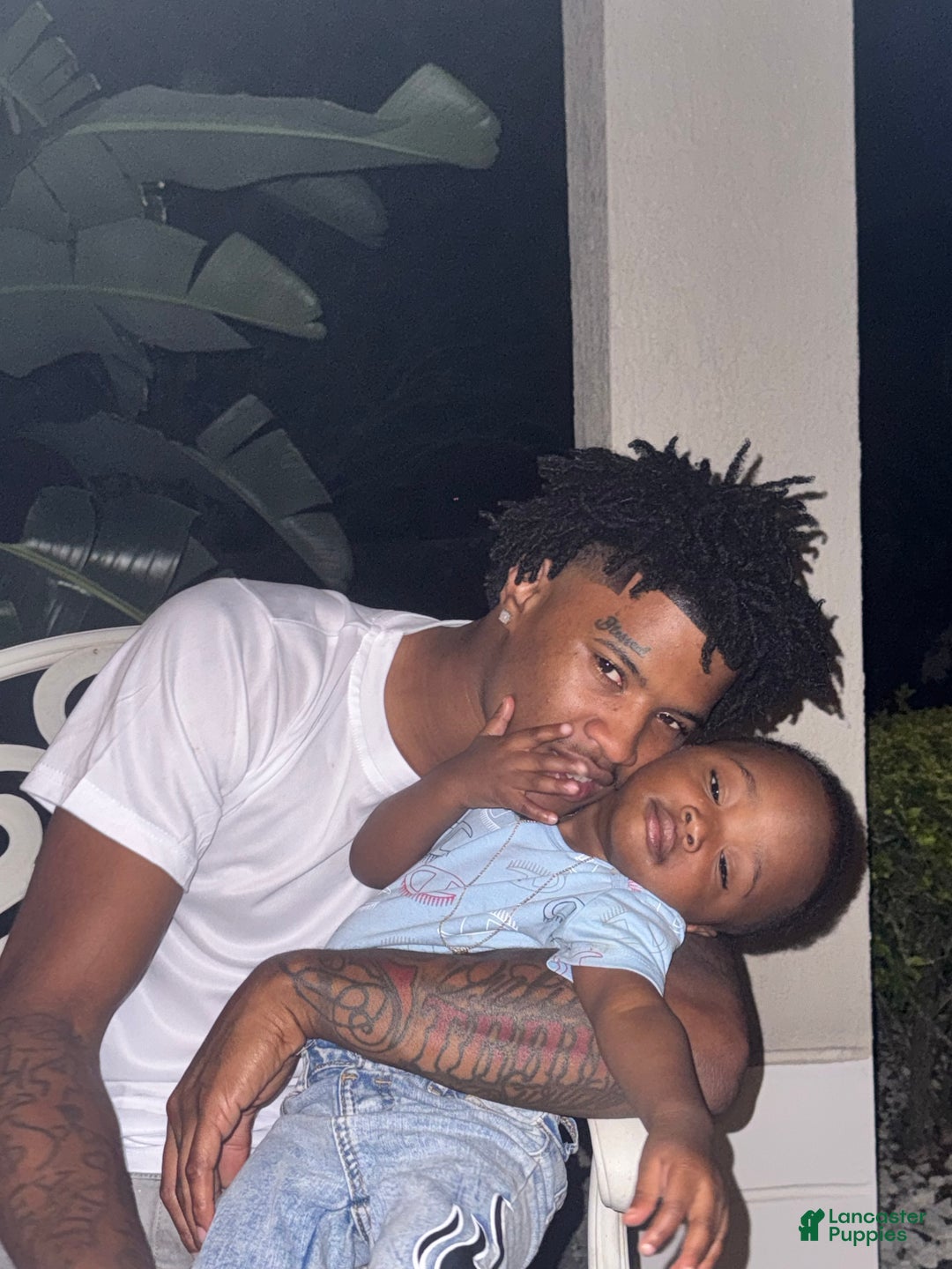 Gallery Image {{count}}