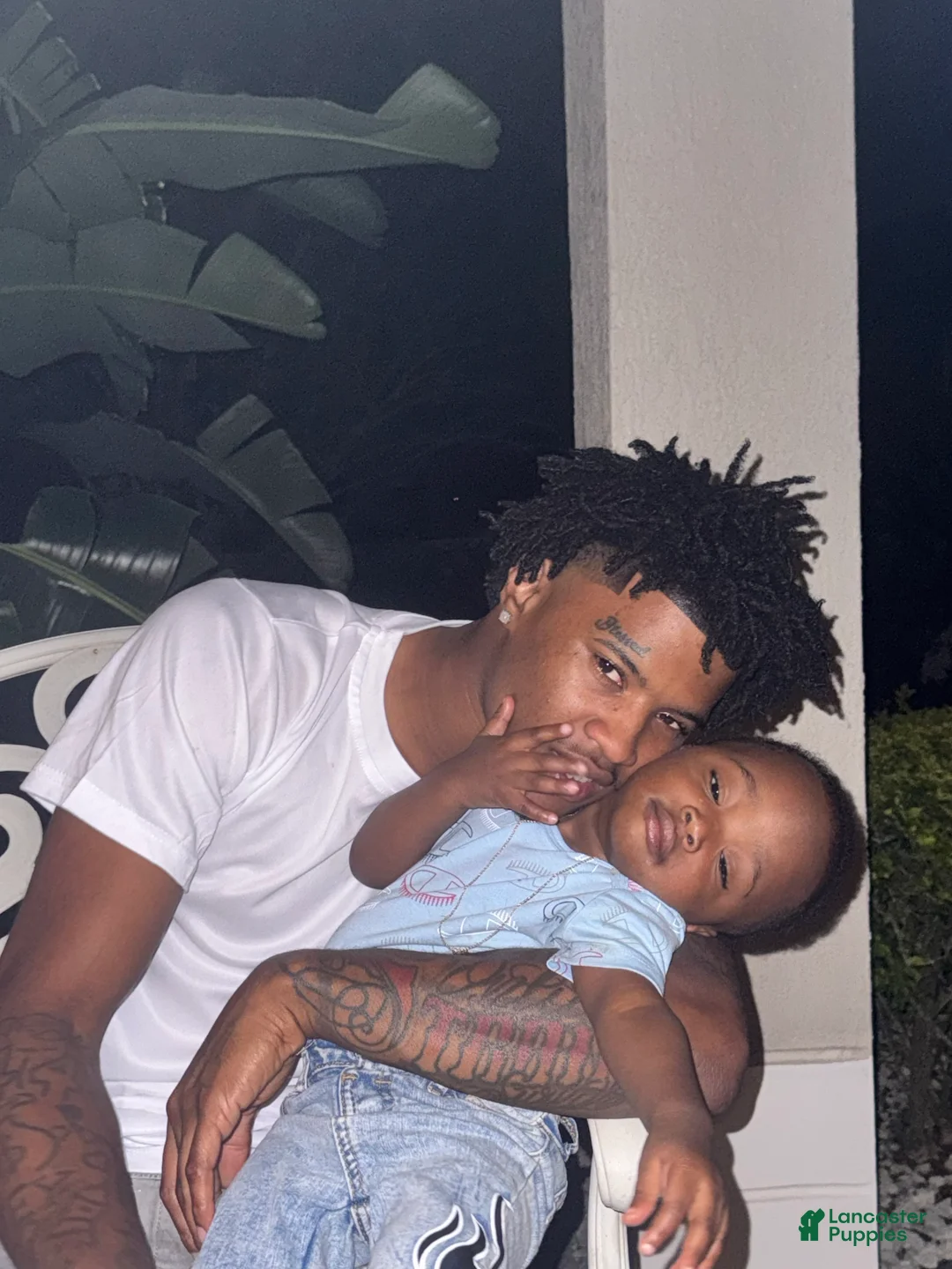 Gallery Image {{count}}