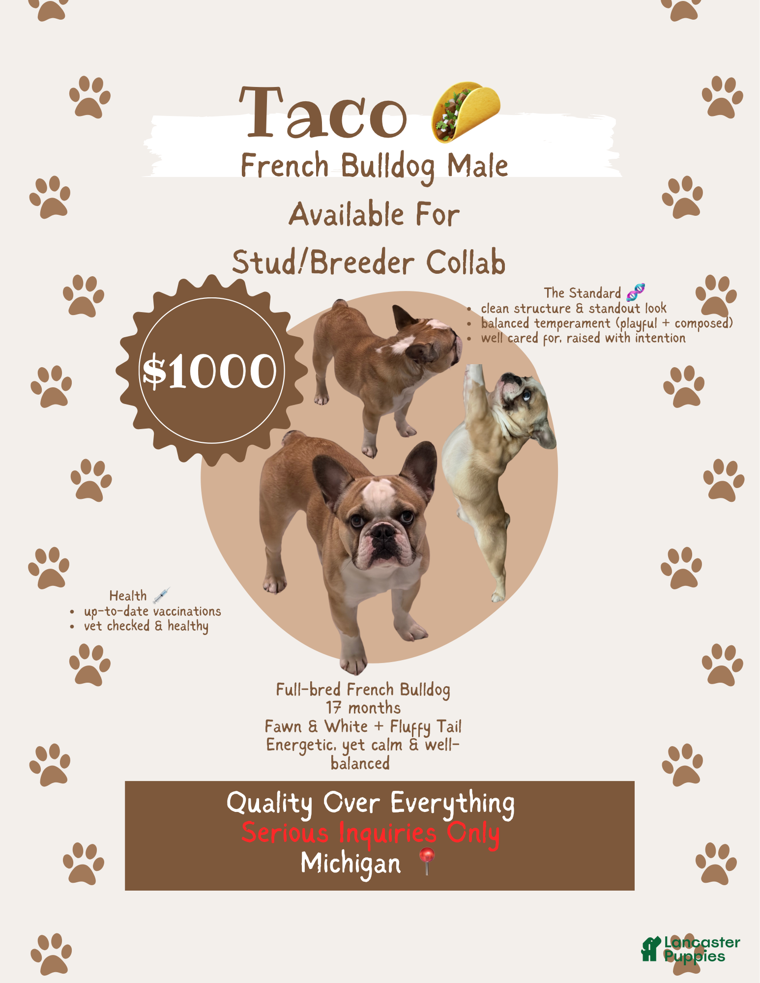 French Bulldog dogs G-Coded Kennel - Ad 8