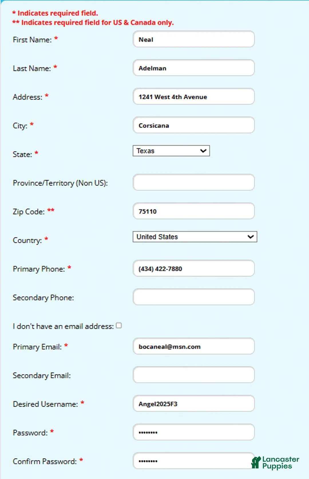 Catahoula Leopard Dog dogs for sale: Angel 2025 Female 1 - Ad 22