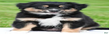 Ethan