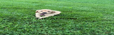 Meadow
