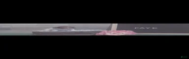 Miniature Dachshund 3