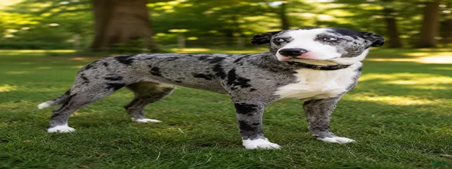 2019