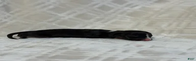 BOY 3