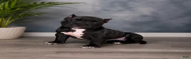 Ke