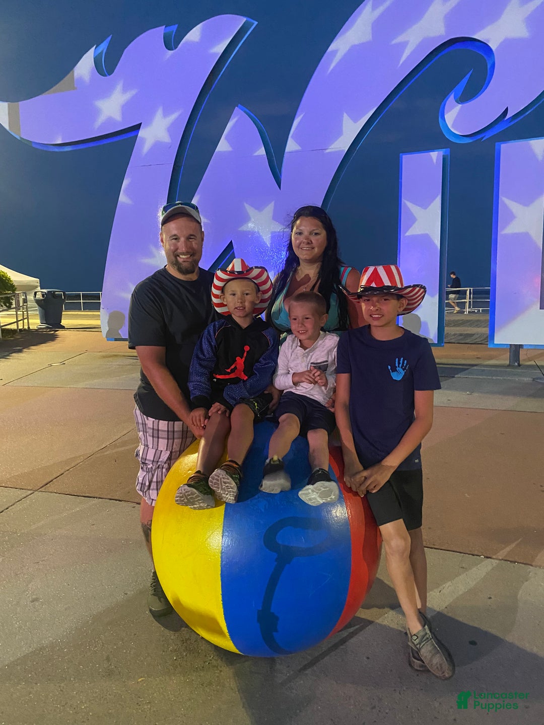 Gallery Image {{count}}