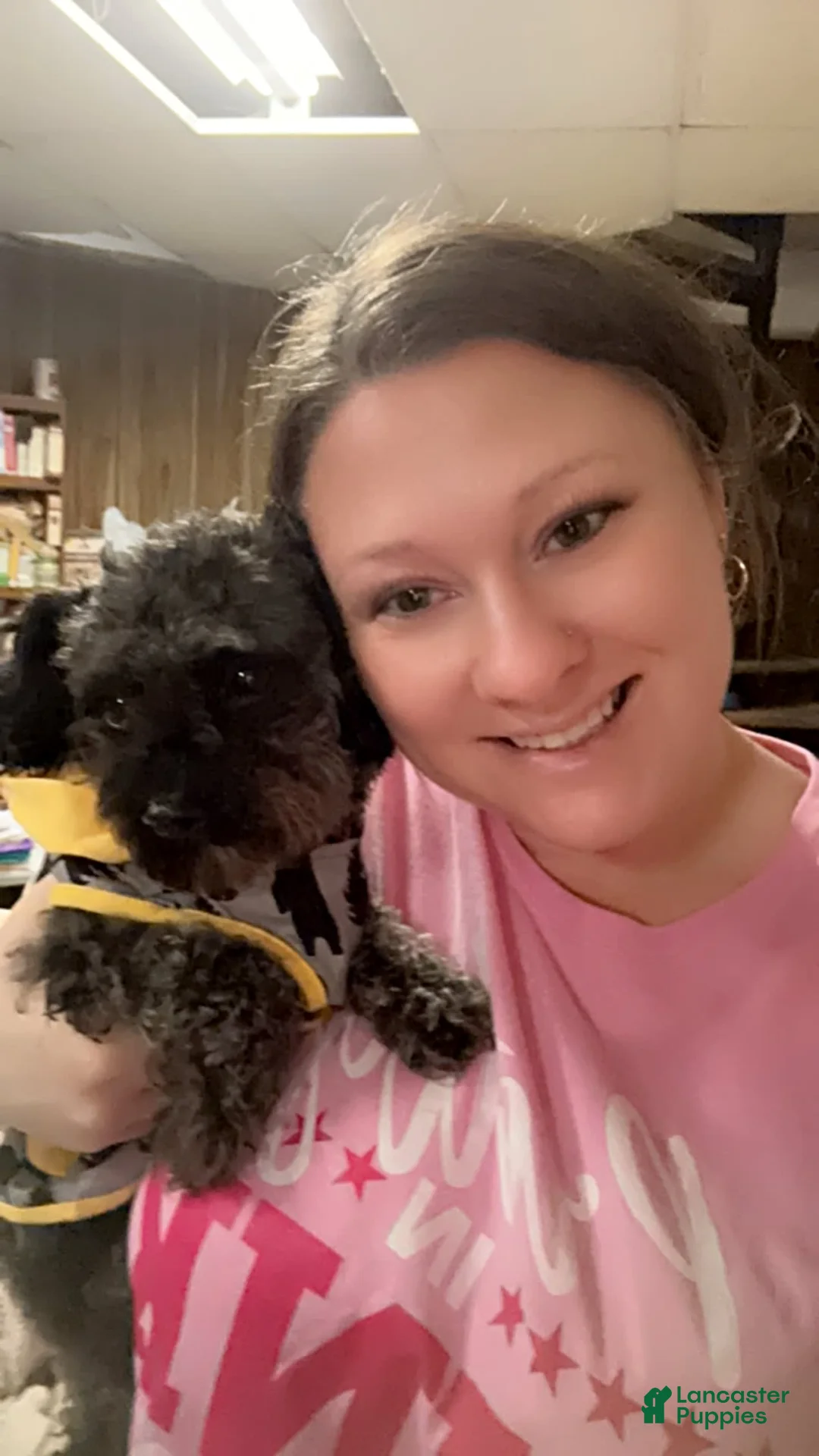 Gallery Image {{count}}