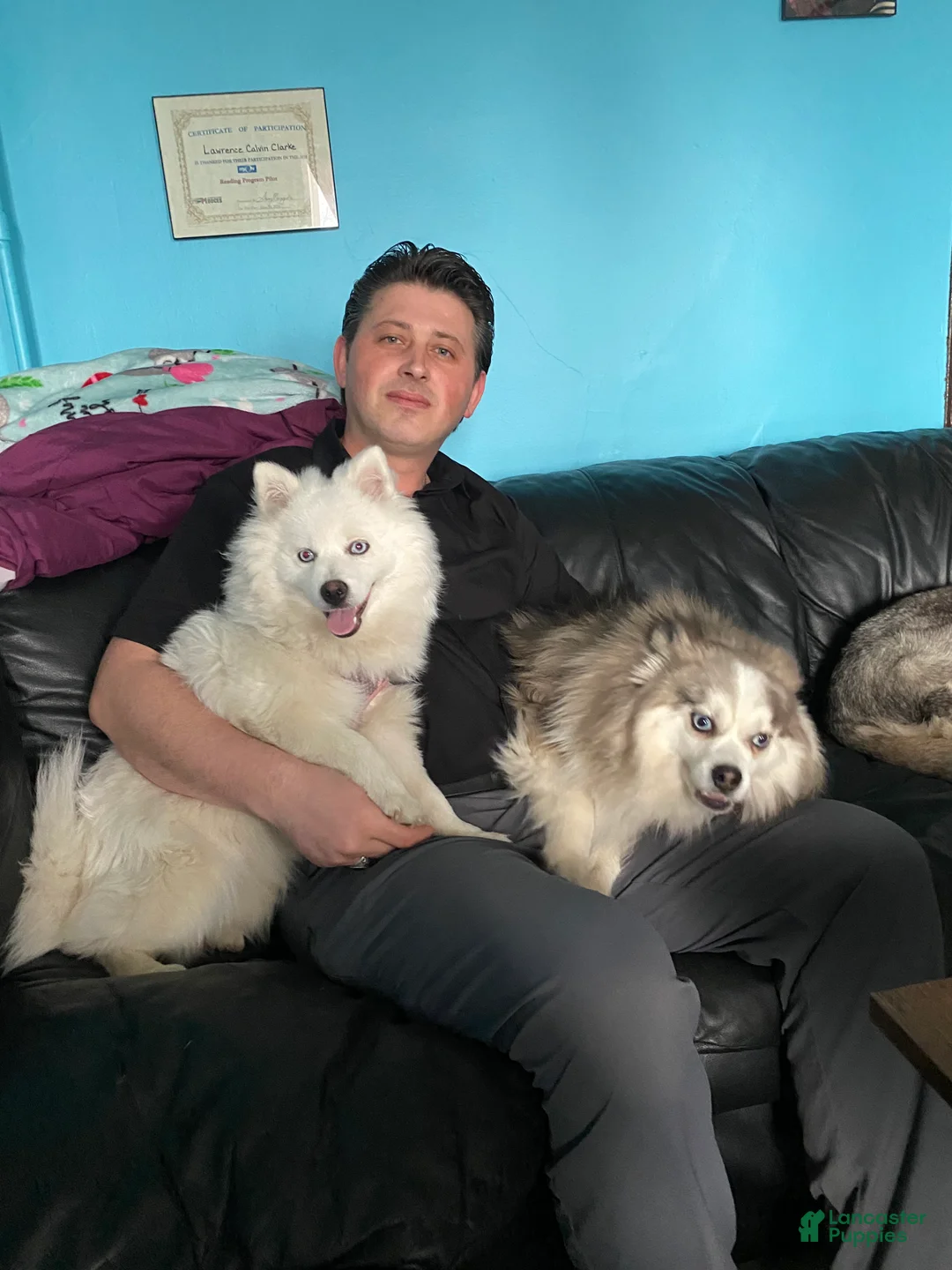 Gallery Image {{count}}