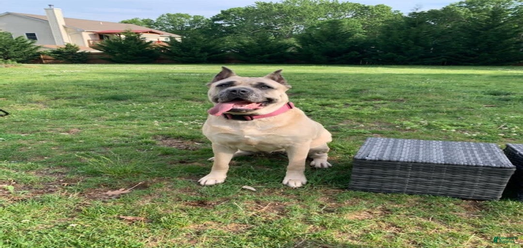 Gallery Image {{count}}