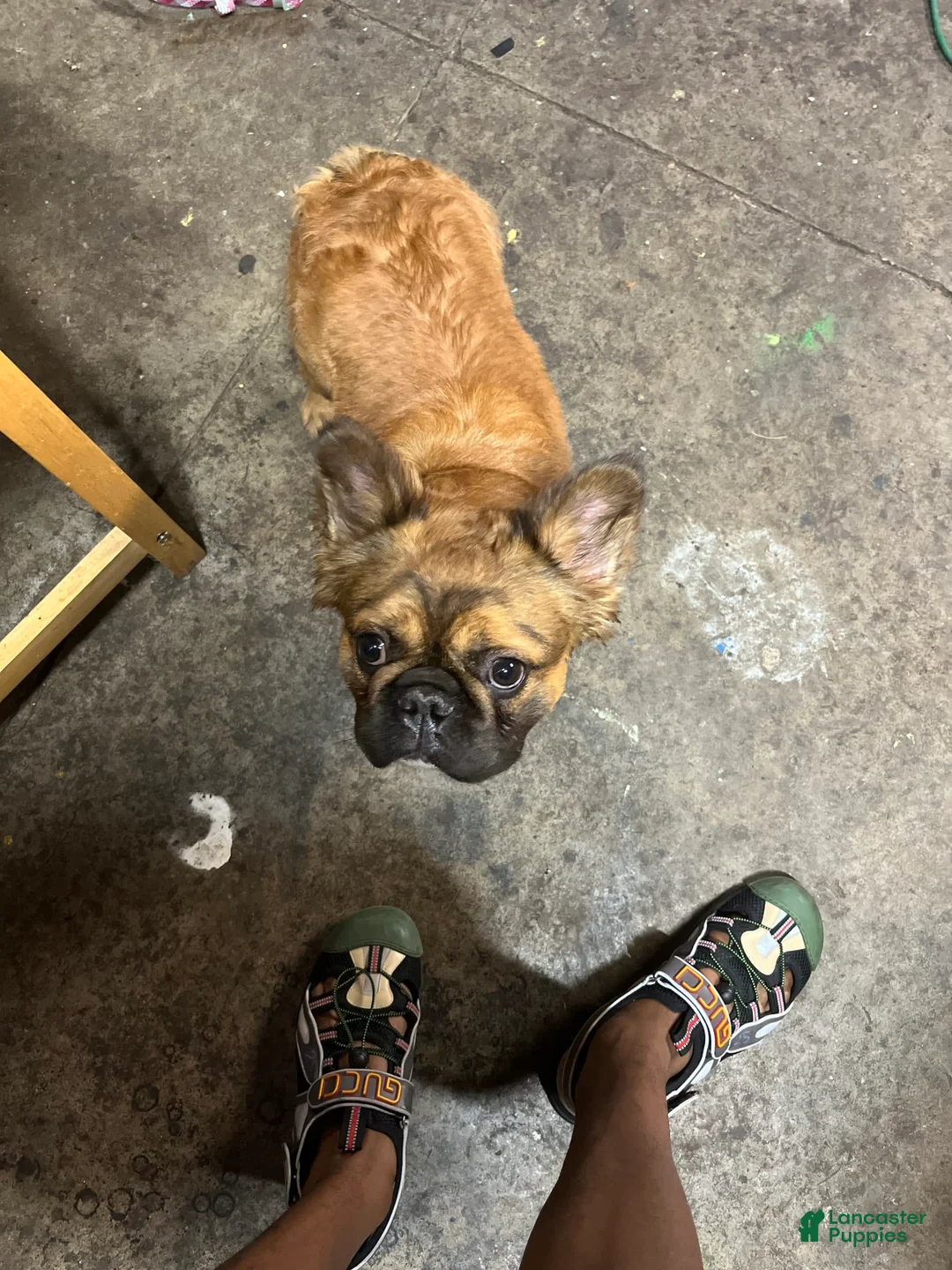 Gallery Image {{count}}