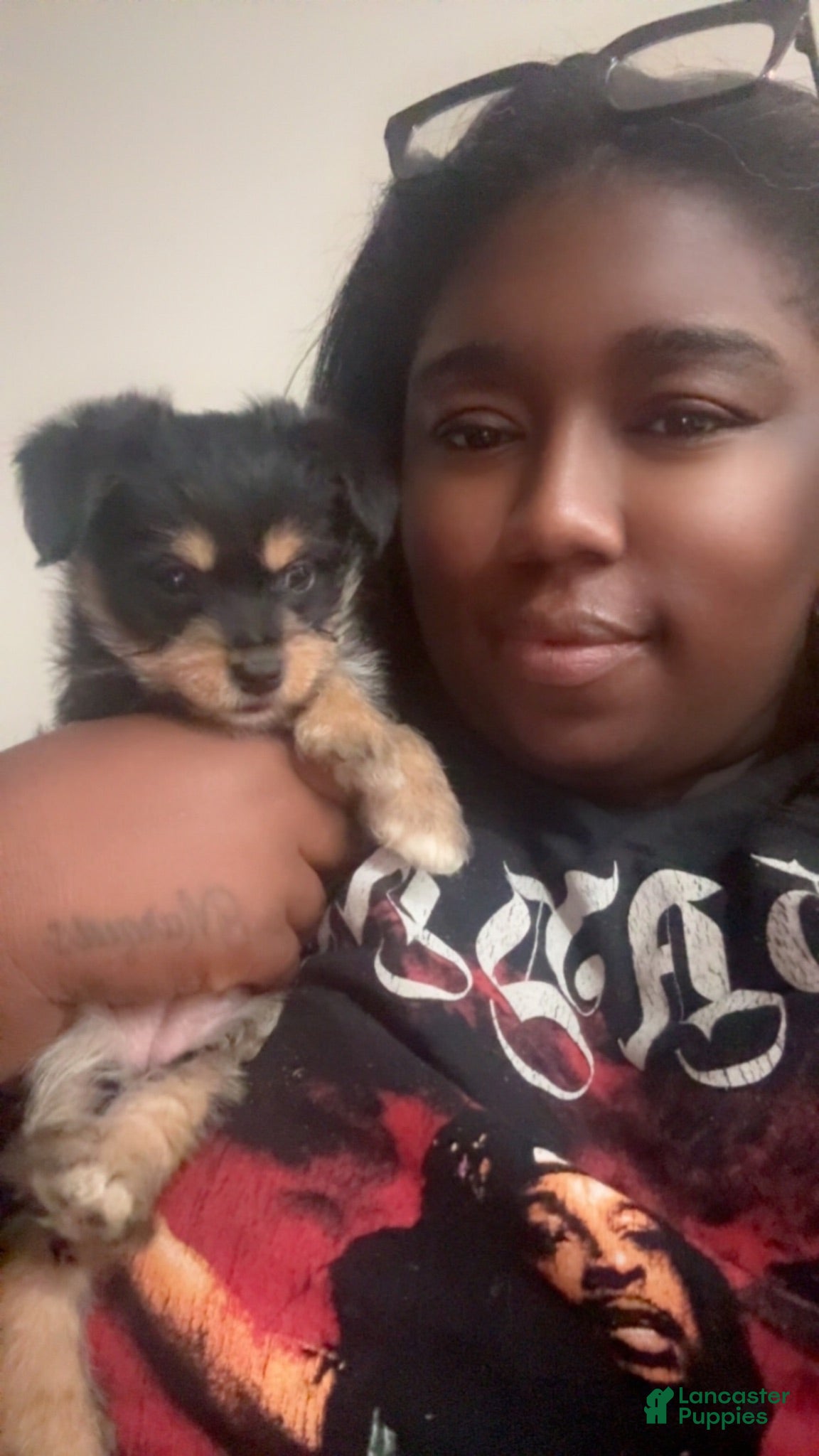 Mixed Breed dogs Tuffy - Ad 2