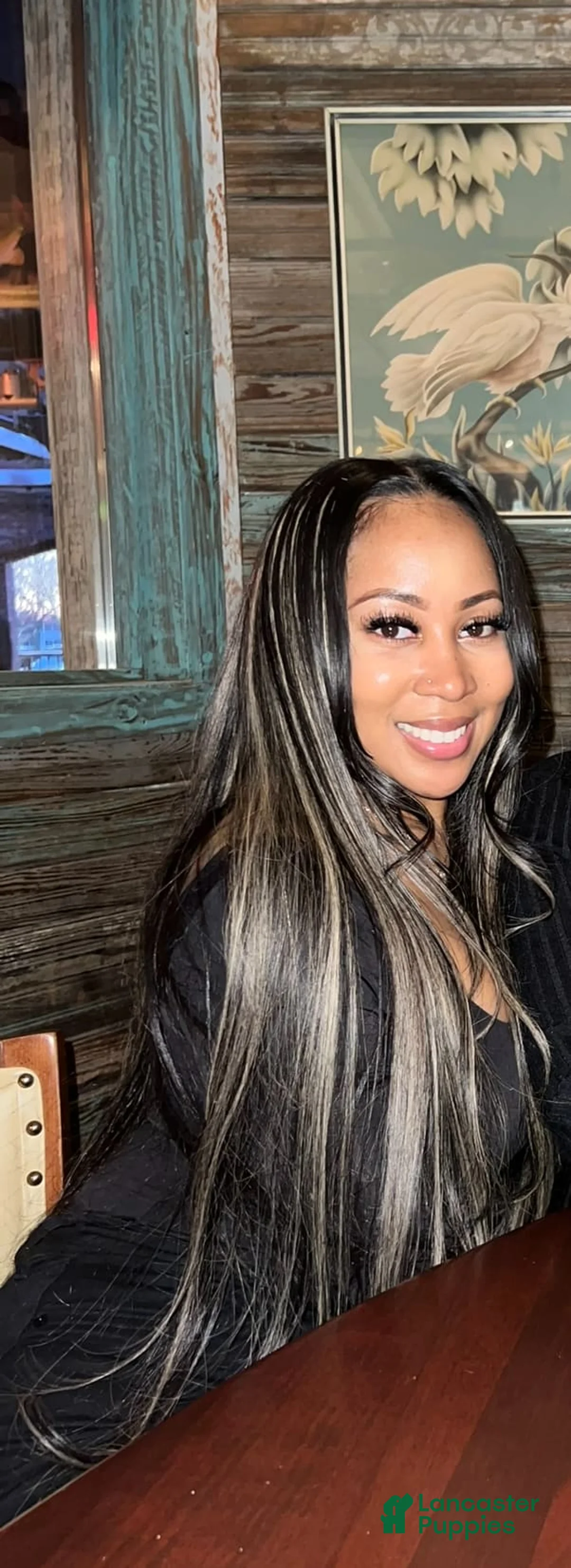 Gallery Image {{count}}