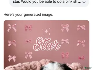 Shorkie dogs Star - Ad 29