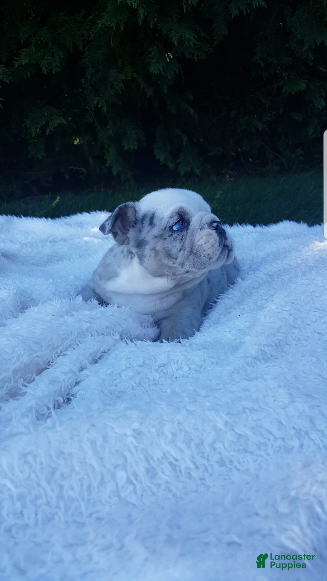 Baxter