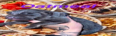 Oatmeal