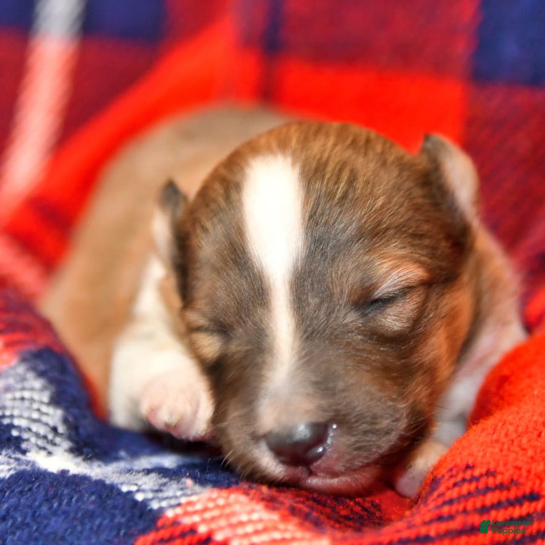 Gallery Image {{count}}