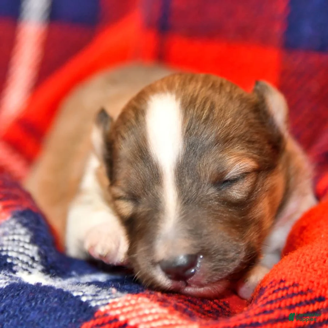 Gallery Image {{count}}