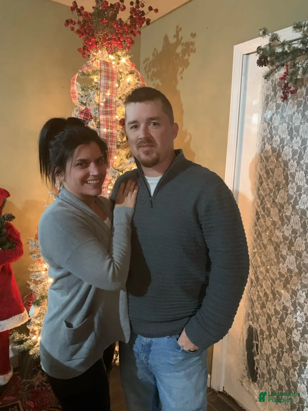 Gallery Image {{count}}