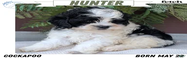Hunter