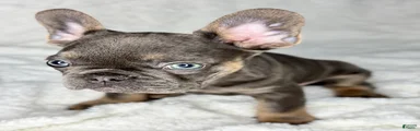 Benny