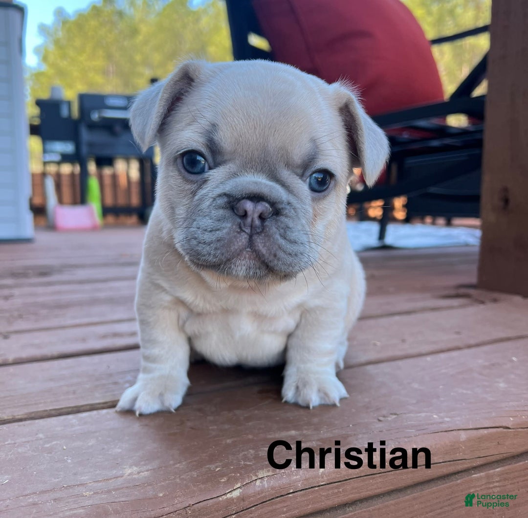 Gallery Image {{count}}