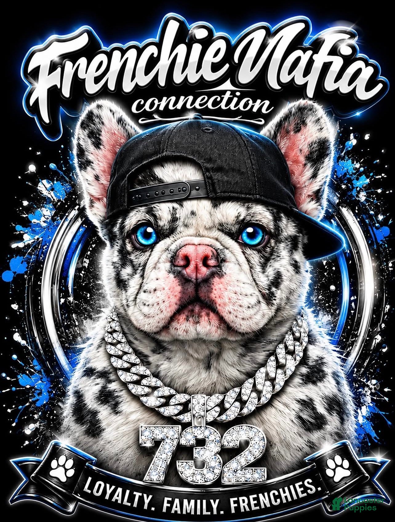 French Bulldog dogs French Bulldog  - Ad 4
