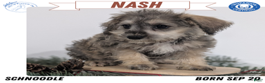 Nash