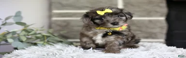 Minnie