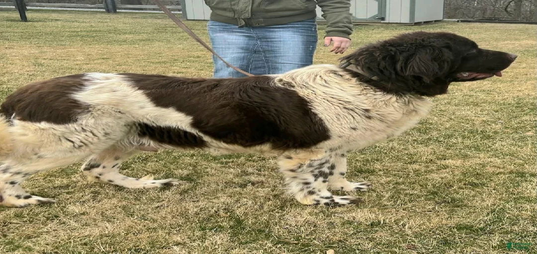 Gallery Image {{count}}