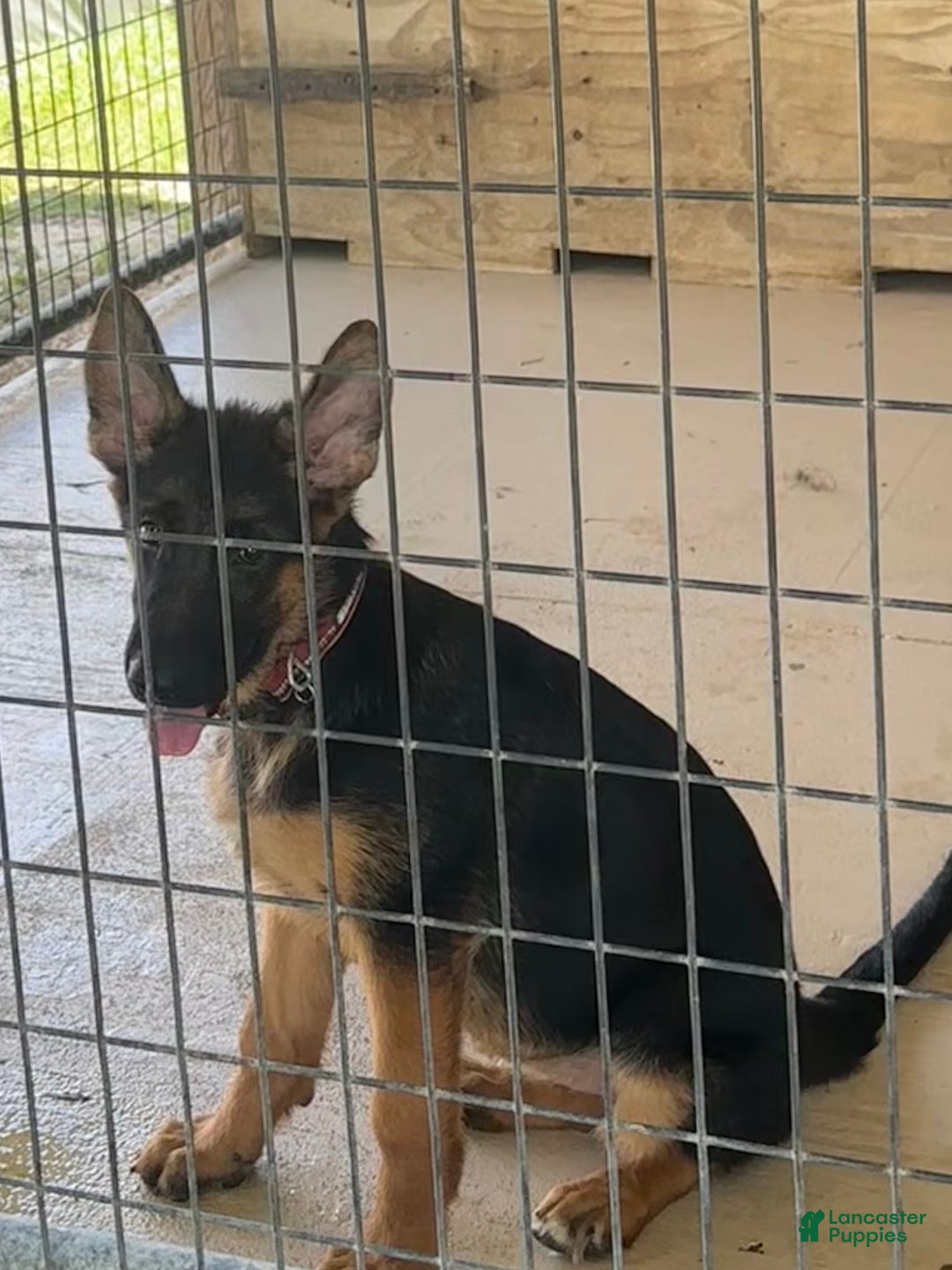 Gallery Image {{count}}