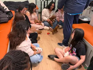 Miniature Dachshund dogs Miniature Dachshund Puppy 4 - Ad 6