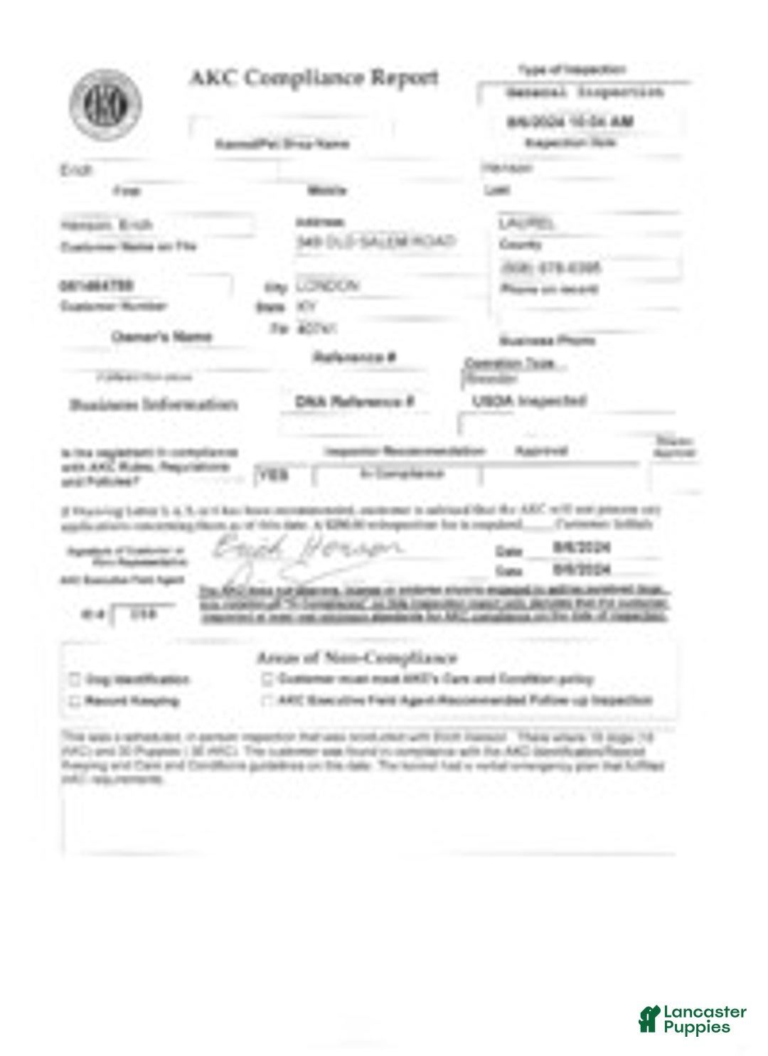 Doberman Pinscher dogs for sale: Doberman Pinscher Puppy 2 - Ad 7