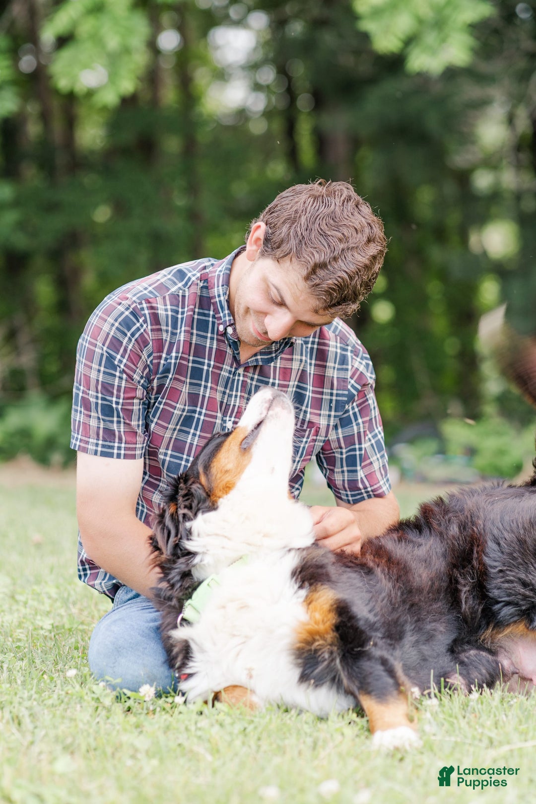 Gallery Image {{count}}