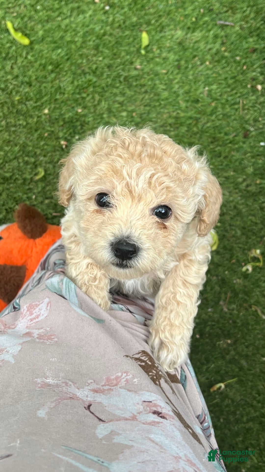 Gallery Image {{count}}