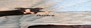 Andre