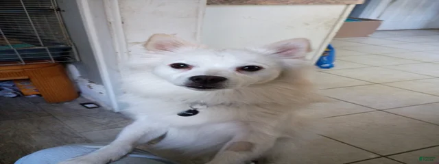 Casper