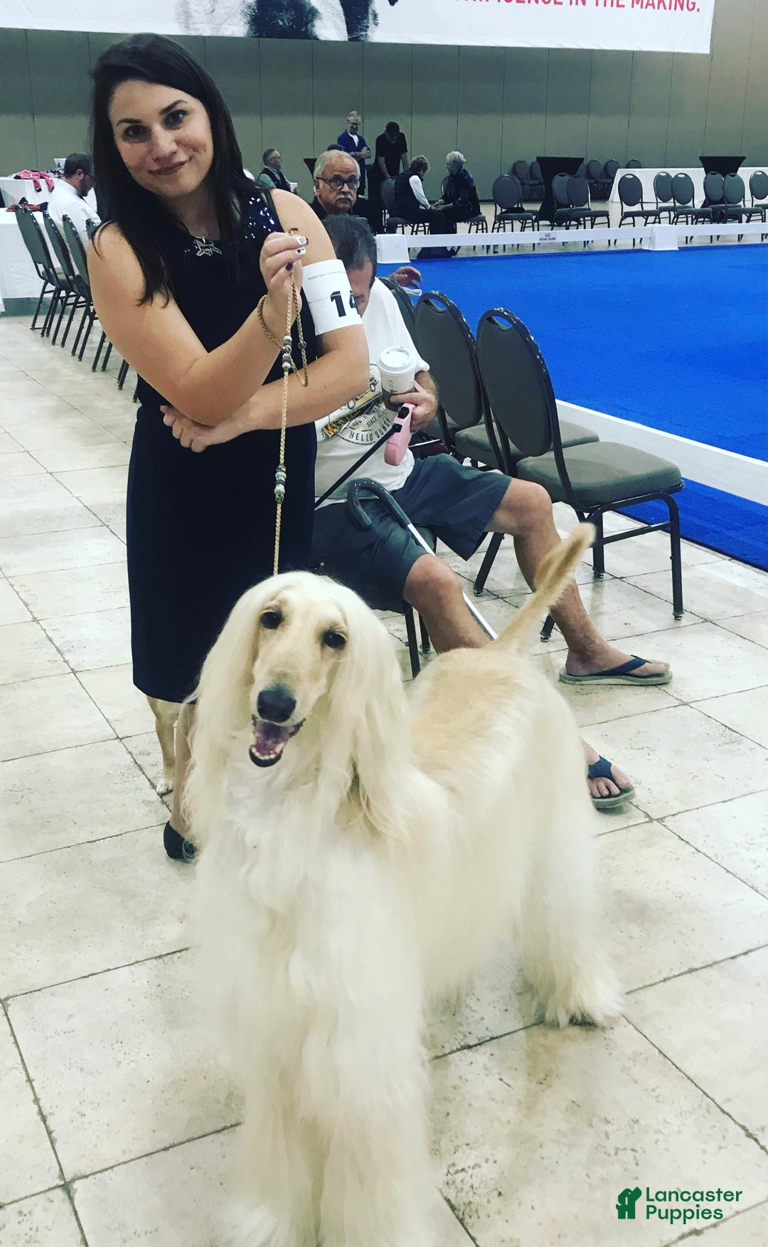 Gallery Image {{count}}