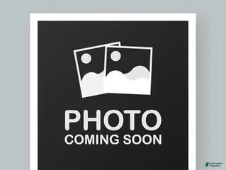 French Bulldog dogs Blue big rope female - Ad 29