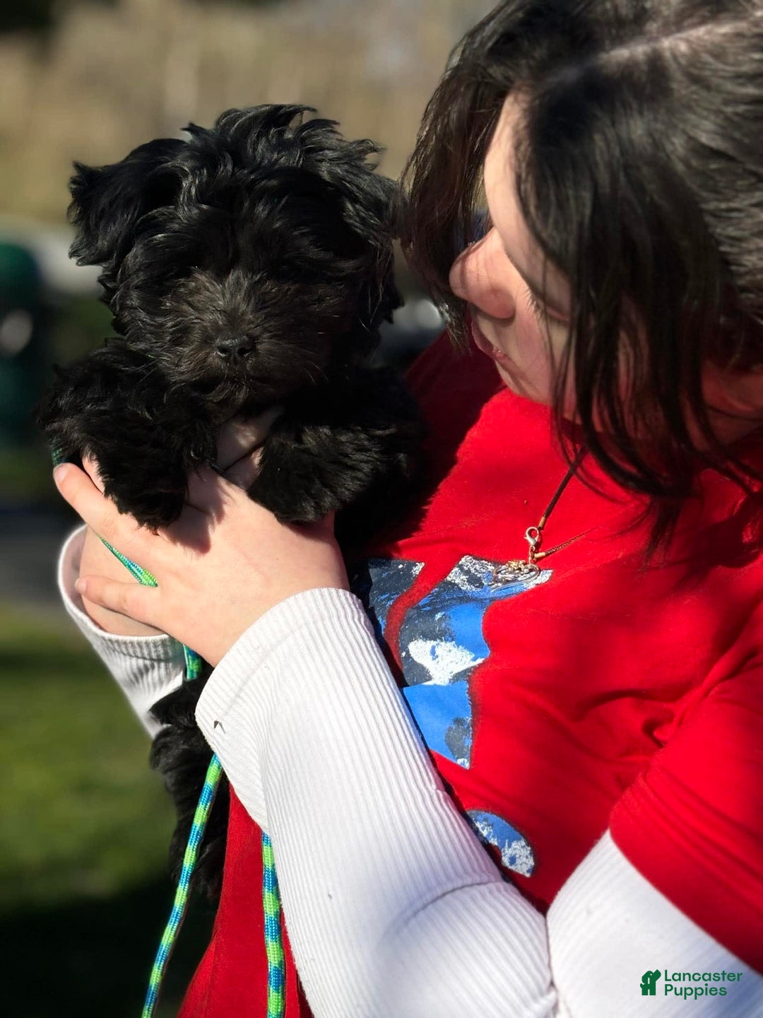 Gallery Image {{count}}