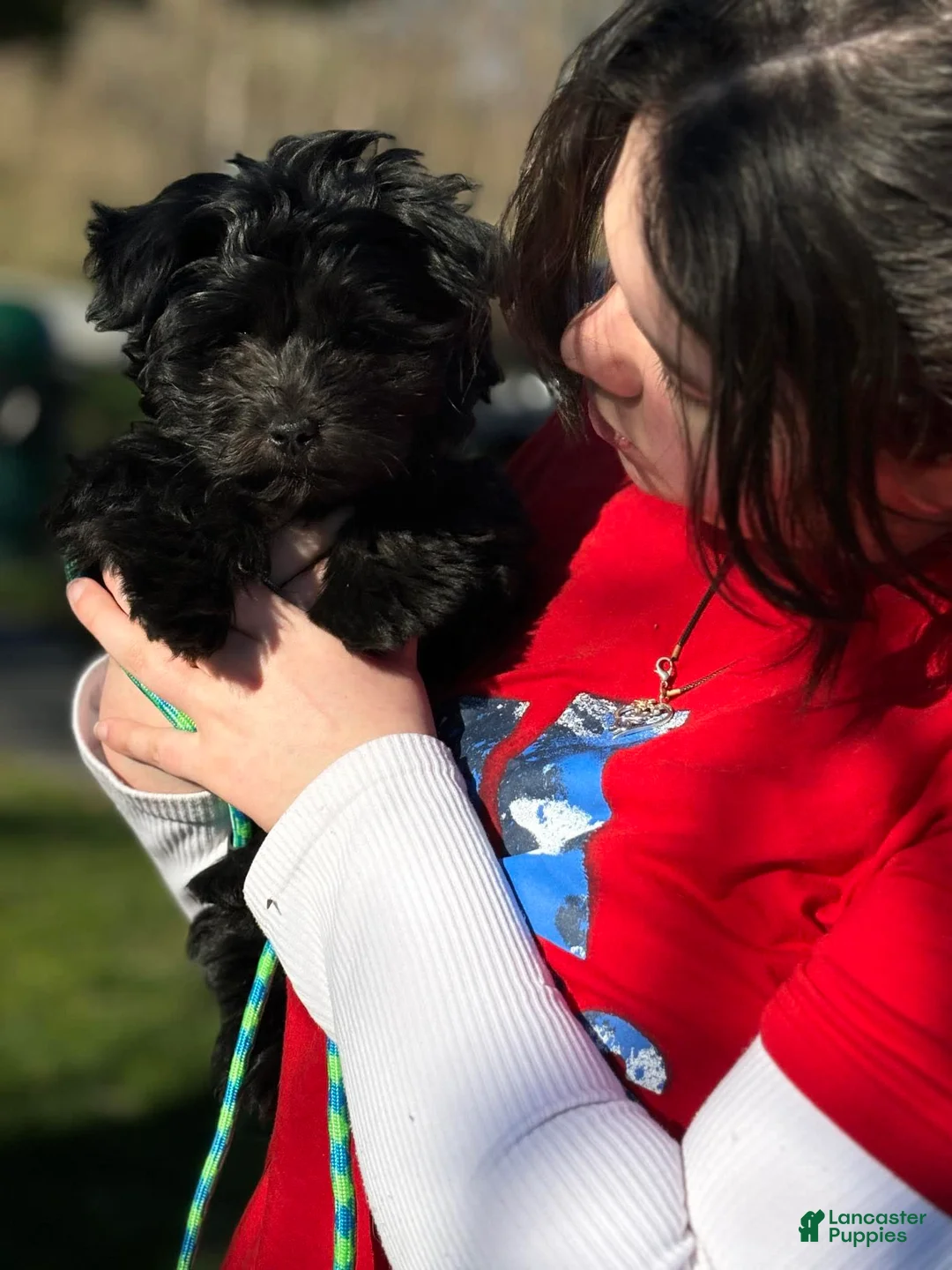 Gallery Image {{count}}