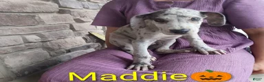 Maddie