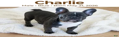 Charlie
