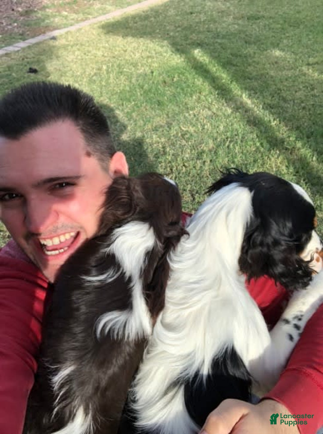 Gallery Image {{count}}