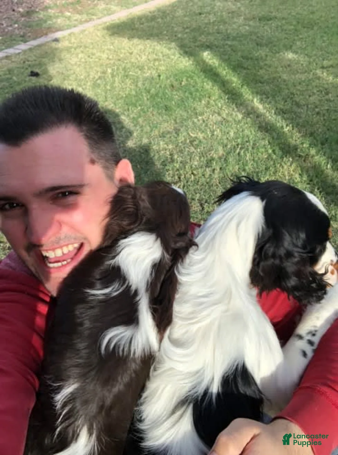 Gallery Image {{count}}