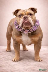 Mable