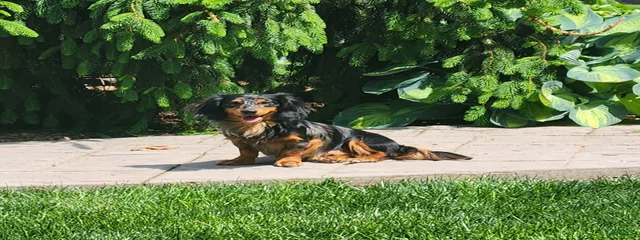 Benson