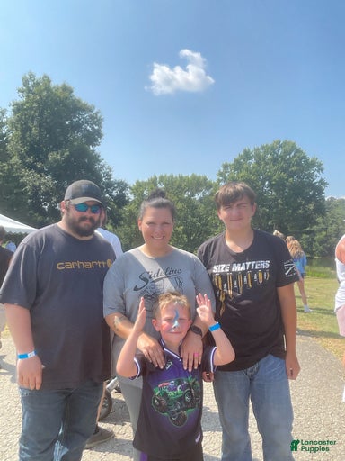 Gallery Image {{count}}