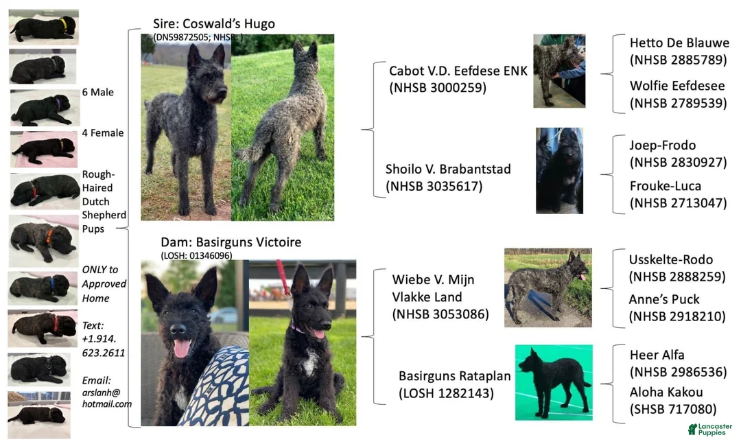 Gallery Image {{count}}